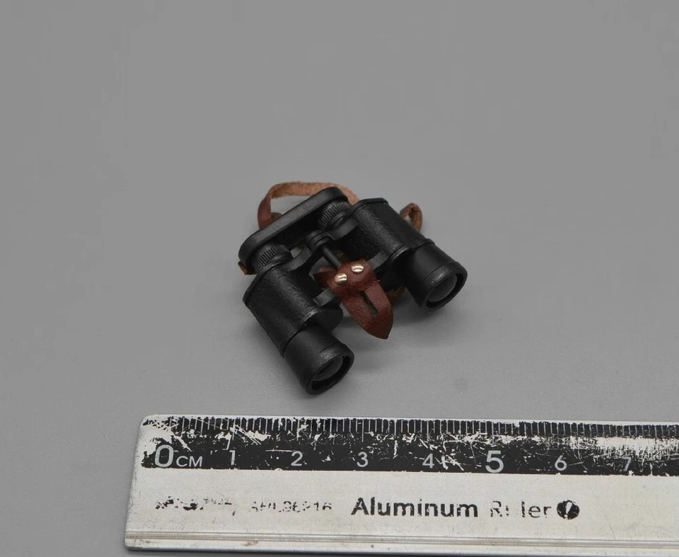 DID D80176 1/6 Comandante Panzer Alemán Segunda Guerra Mundial - Modelo de Telescopio Foto 1 de 1