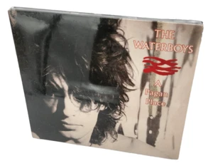 The Waterboys - Pagan Place [New CD] - Imagen 1 de 7