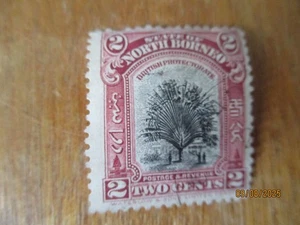 North Borneo 1925 - 1928 - Travellers Palm Tree 2c Used Single - SG278 - Picture 1 of 3