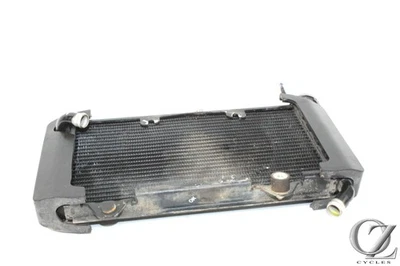 22-23 Husqvarna Vitpilen Svartpilen 401 Radiator Foto 1 de 4