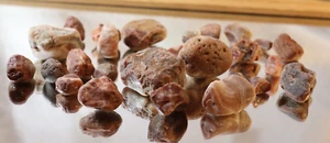 LAKE SUPERIOR AGATES AS FOUND 1LB 3.5 OZ LARGEST 4--1.9 OZ-2.1 OZ-2.4 OZ-2.8 OZ - Picture 1 of 6