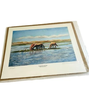 Horse Art Print Grazing Trio with Ibises Signed M Theresa Brown Numbered 11X14" - Picture 1 of 7