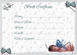 SWEET BABY'S BIRTH CERTIFICATE/CERTIFICATES 4 REBORN FAKE BABY appx 7"x 5" - Picture 1 of 5