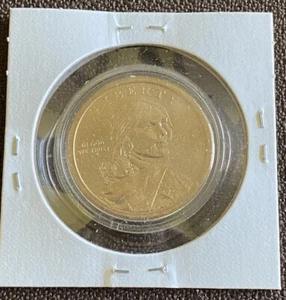 2010 P Sacagawea moneta da $1 con custodia protettiva - Foto 1 di 2
