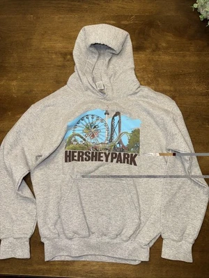 GUC Kids Gildan Hershey Park Gray Logo Hooded Sweatshirt Size Medium - Image 1 of 3