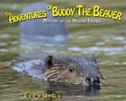THE ADVENTURES OF BUDDY THE BEAVER: MYSTERY OF THE MISSING By Carson Clark & Jim