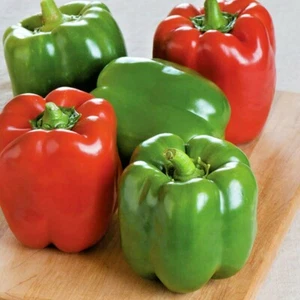 Semi di pepe campana California Wonder NON OGM MOLTO SANI GRANDE GUSTO NUTRIENTI! - Foto 1 di 3