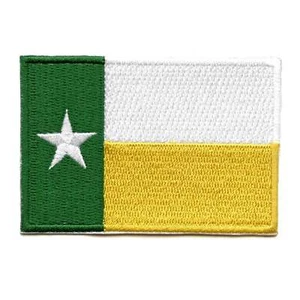 Texas Flag College Patch Waco Green Yellow Embroidered Iron On - Picture 1 of 2
