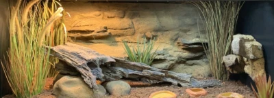  All Natural Gray dehydrated style Driftwood terrarium and Home decoration  - Image 1 of 2