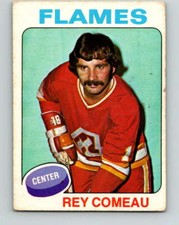 (HCW) 1975-76 O-Pee-Chee #248 Rey Comeau NHL  Flames 9471