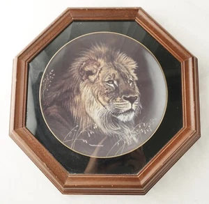 Der Hamilton Coll Afrikanischer Löwe Teller von Nature's Majestic Cats gerahmt - Bild 1 von 4