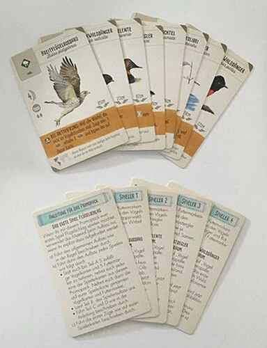 FEUERLAND SPIELE Spiel Flügelschlag - Mini-Erweiterung mit Schnelleinstiegskarten NEU/OVP