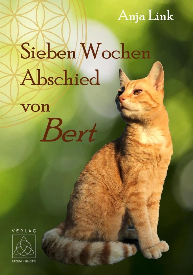 Anja Link Sieben Wochen Abschied von Bert (Paperback) - Image 1 of 1