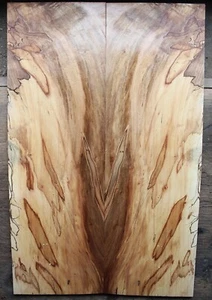 Curly ambrosia spalted ink line maple drop top .26" thk guitar tonewood 2545 - Picture 1 of 13