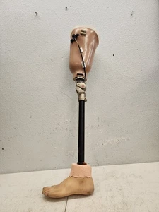 OttoBock Prosthetic, Left Leg Above Knee w/Foot Ottobock - Picture 1 of 23