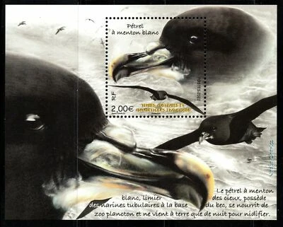 TAAF French Antarctic Territory 2022 Pétrel A Menton Blanc Birds Miniature sheet - Image 1 of 3