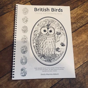 Sheila Mannes Abbott Tracing Colouring Book British Birds PB Natural History - Picture 1 of 24