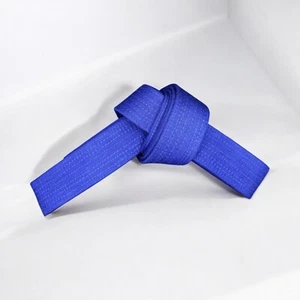 PowerPalm Karate Belt - Durable Martial Arts Belt for Training, Karate, Taekwond - Picture 1 of 25