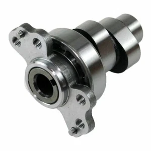 Racing Camshaft for Yamaha mudbeast Raptor 700 07~2020 (3B4-12170-00-00) - Picture 1 of 6