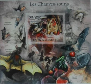 Bats Wildlife animals bat Comoros Comores 2011 ss Mi. Bl.632 MNH CM11107b IMPERF - Picture 1 of 1