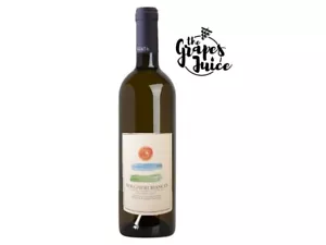 TENUTA SANT'AGATA BOLGHERI BIANCO 2021 VINO BIANCO BIO DOC TOSCANA - Bild 1 von 1