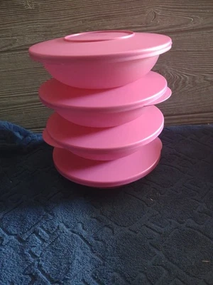 Tupperware Aloha Home Pink Double Plates Set Of 4 - Image 1 of 4