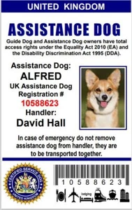 ASSISTANCE DOG UK - SERVICE CARD ID BADGE PER REGNO UNITO GRAN BRETAGNA ADi - Foto 1 di 3