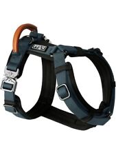 Made To Roam Dog Explorer Harness Y Shaped, Adjustable, Durable Nylon, Blue M