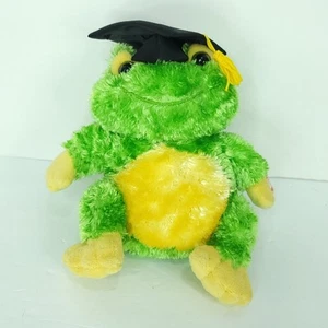 Dan Dee Graduation Talking Frog Plush Stuffed Animal Graduation Cap 9" Hooray - Picture 1 of 6