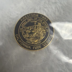California Fire Fighters Los Angeles County 1993 Firestorm Pin - Bild 1 von 5
