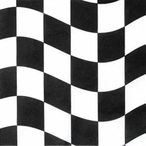 Black & White Check Beverage Napkins 18 Pack Car Racing Birthday Party Decor - Picture 1 of 1