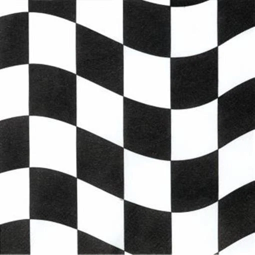 Black & White Check Beverage Napkins 18 Pack Car Racing Birthday Party Decor - Image 1 of 1