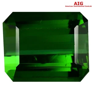 3.41 ct AIG Certified Octagon Cut (9.34 x 7.77 mm) Natural Green Tourmaline - Picture 1 of 3