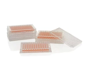 Thermo MicroWell 96F Nunclon Delta Flat-Bottom With Lid Microplate 161093 160ct - Picture 1 of 2
