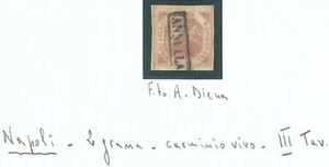 74339 - ANTICHI STATI: NAPOLI - Sassone 7e Carmino Vivo USATO - A DIENA Sorani - Imagen 1 de 1