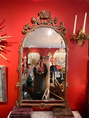 19th Century French Lous XVI Style Carved Giltwood Wall Mirror Cover