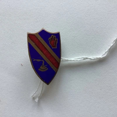 Ejército de Estados Unidos 372.ª Infantería DI SC Starburst Foto 1 de 2
