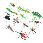 12 Pcs Real Looking Bugs Model Teaching Simulation Figure Toys