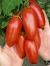 Tomato Seeds Miracle Banana red tomatoes organic Ukraine 20 seeds D Farmer idea