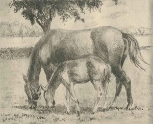 CARL RANG - Pferde, Stute und Fohlen, Reiten - Radierung, um 1930 - Bild 1 von 2
