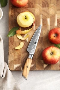 Xinzuo B37 Japanese Paring Knife Damascus Steel 73 Layers Powder Steel - Picture 1 of 6