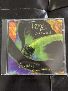 Toad the Wet Sprocket - Somethings Always Wrong C ** Free Shipping** - Picture 1 of 3