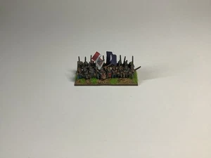 Warlord Games Epic ACW Confederate Reg, 3rd Virginia Infantry Command, painted - Picture 1 of 3