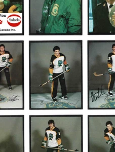 1985-86 London Knights Police hoja sin cortar de 30 prenovato Brendan Shanahan - Imagen 1 de 6