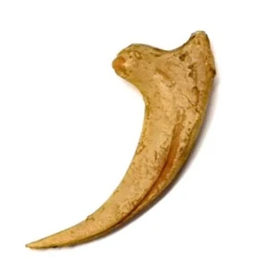TENET - VELOCIRAPTOR KRALLE (REPLIK) FOSSIL - Bild 1 von 1