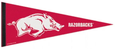 Razorbacks Pennant & Sleeve College Collectible 12 x 30 Free Shipping Cover