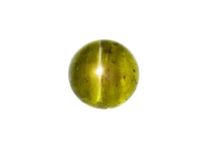 12.19 CTS_ANTIQUE GEM COLLECTION_100 % NATURAL HONEY APATITE CAT'S EYE_SRILANKA - Picture 1 of 3