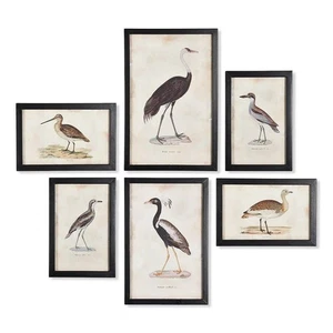Juego de arte de pared de aves acuáticas - Impresiones de aves naturalistas vintage, 6 piezas - Imagen 1 de 3