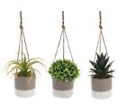 Artificial Potted Plant With Pot Hanging Small Faux Succulent Plant In/Outdoor