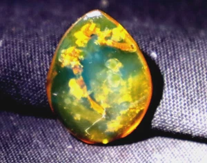 Beautiful Natural Dominican Clear Light Blue Amber Polished Pendant Stone 25mm - Picture 1 of 12